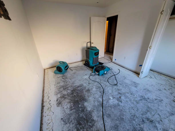 Best Ceiling water damage repair  in Jeanerette, LA