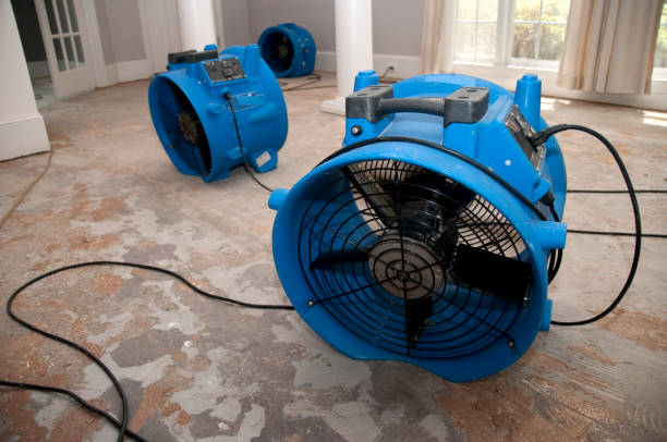 Best Flood restoration services  in Jeanerette, LA