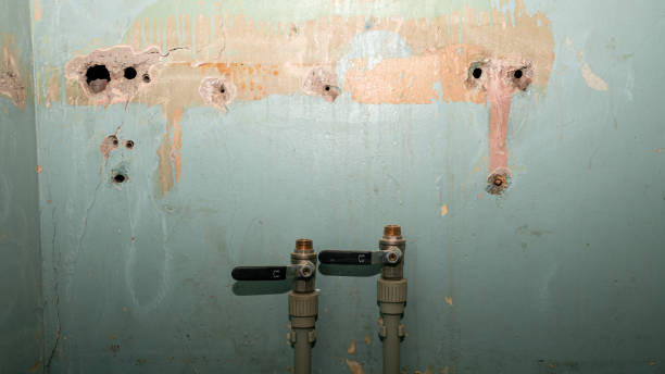 Best 24/7 water damage repair  in Jeanerette, LA
