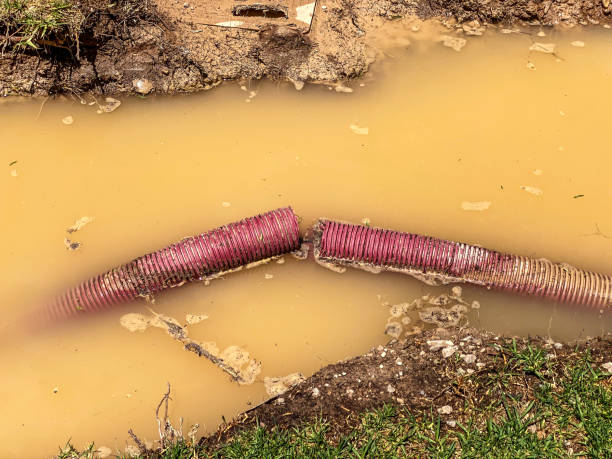 Best Emergency water extraction  in Jeanerette, LA